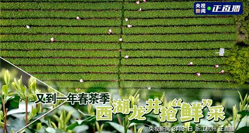 微信图片_20230423161420.png